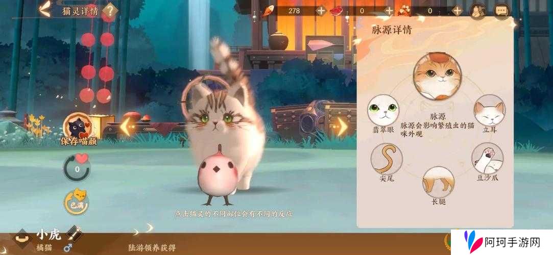 忘川风华录猫灵领养攻略 最强猫灵领取技巧分享——演变史专题