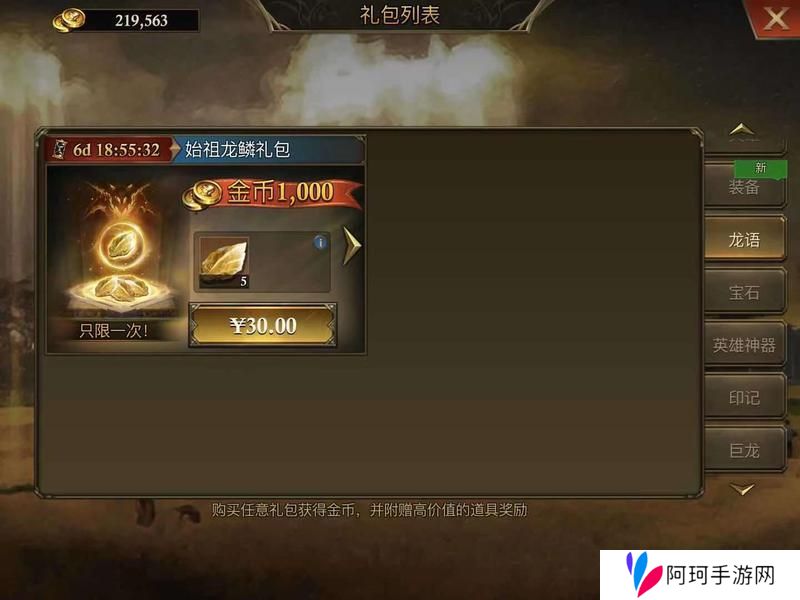 阿瓦隆之王新手氪金攻略