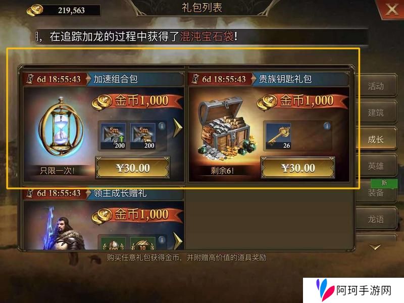 阿瓦隆之王新手氪金攻略