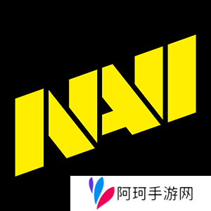 OverDrive猜测NAVI若持续失利 Major后将面临变阵