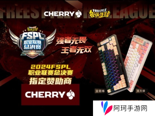 王者无双 CHERRY赞助2024FSPL职业联赛总决赛