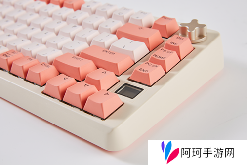 街头篮球5