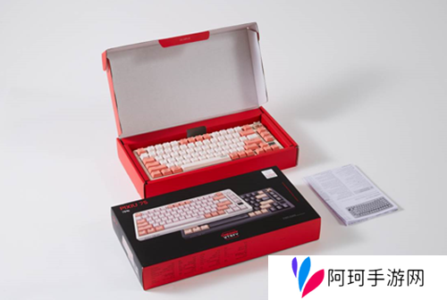 街头篮球4